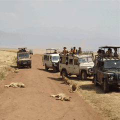 3 Days (2Nights) Tarangire/Ngorongoro Crater/L. Manyara