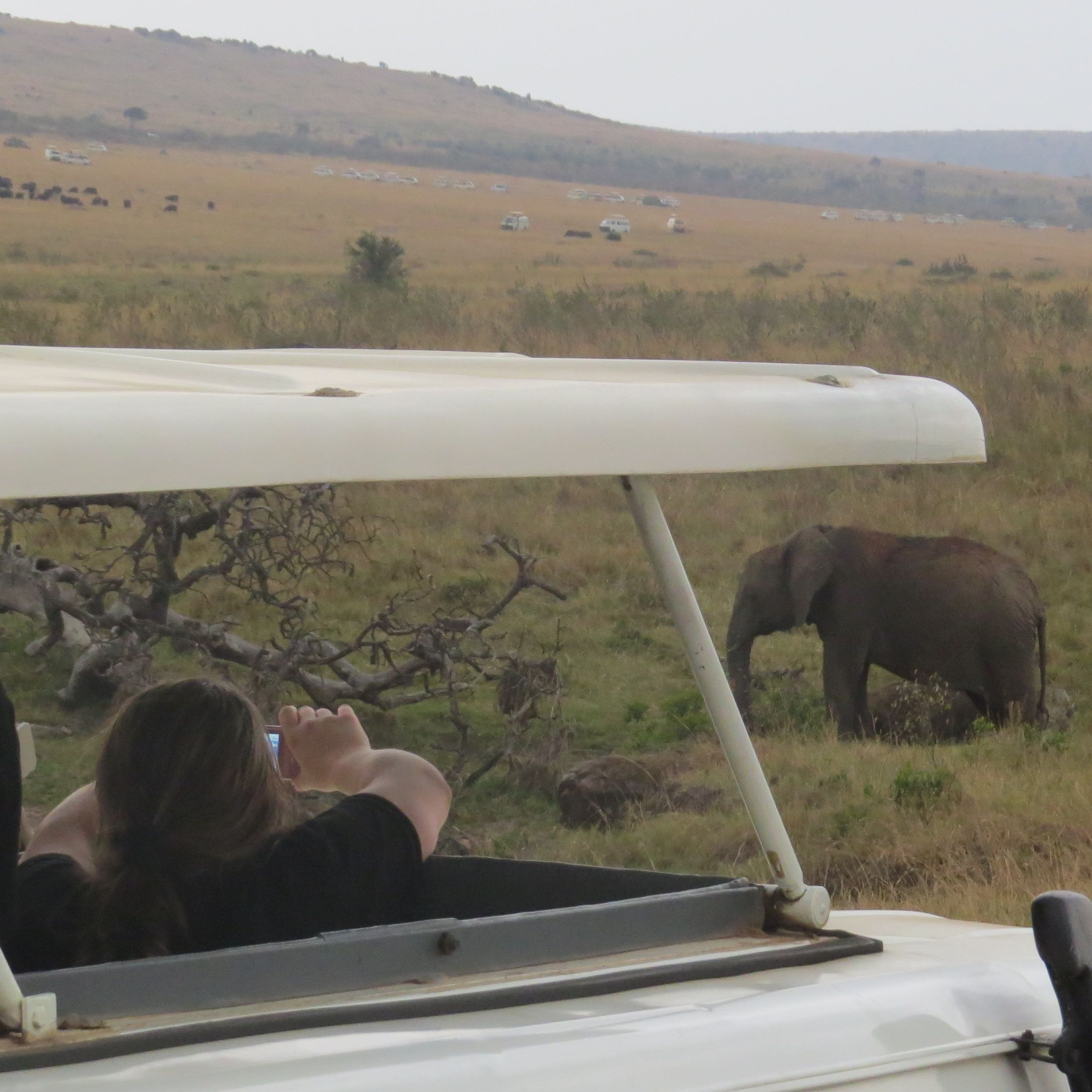 Southern Kenya Safari & Beach Holiday